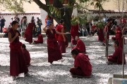 Dibattito dei monaci, monastero di Sera - Lhasa - Tibet